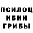 Псилоцибиновые грибы Cubensis Olga Yeremeyeva