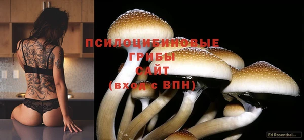 мяу мяу мука Баксан