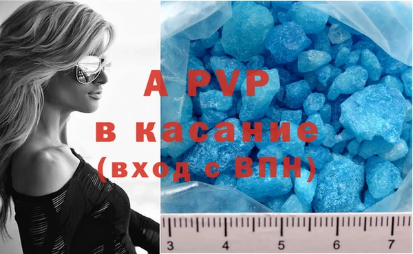 мяу мяу мука Баксан