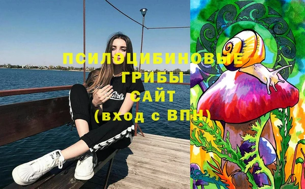 мяу мяу мука Баксан