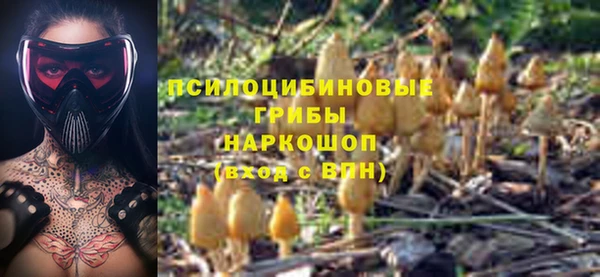 дурь Армянск