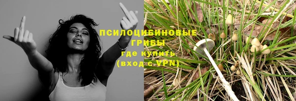 мяу мяу мука Баксан