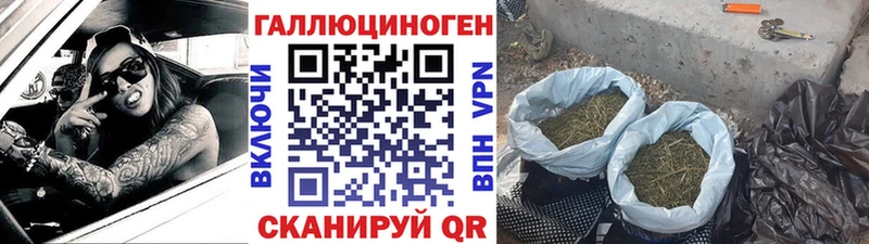 Псилоцибиновые грибы мухоморы Воскресенск